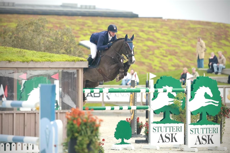 Jeff Paw Nielsen & Ibiza VK(Vigo d'arsouilles x Phin Phin) - Danmarksmesterskaberne i ridebanespringning 2024