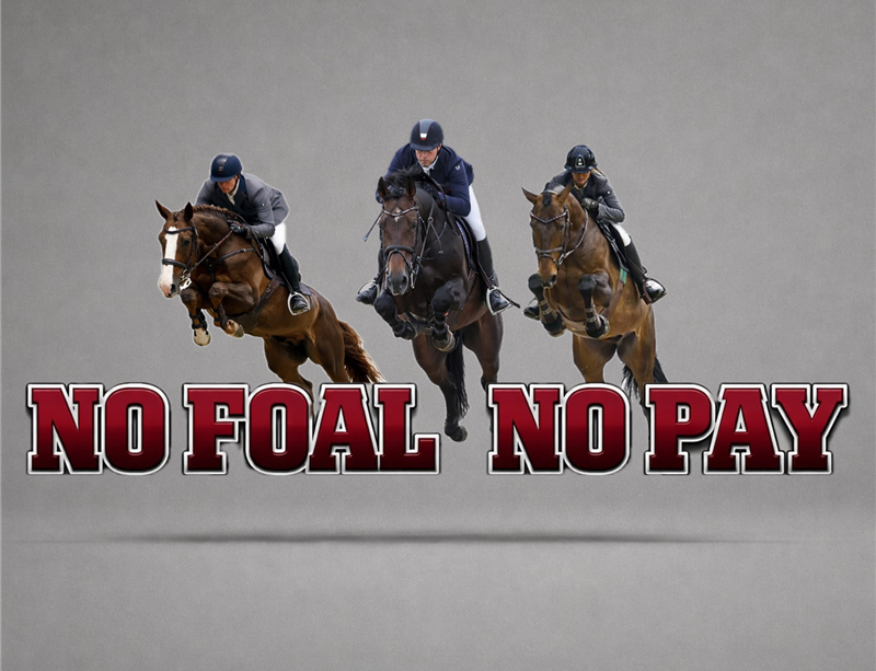 Alle priser er ex moms